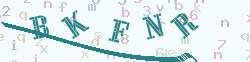 verify_code